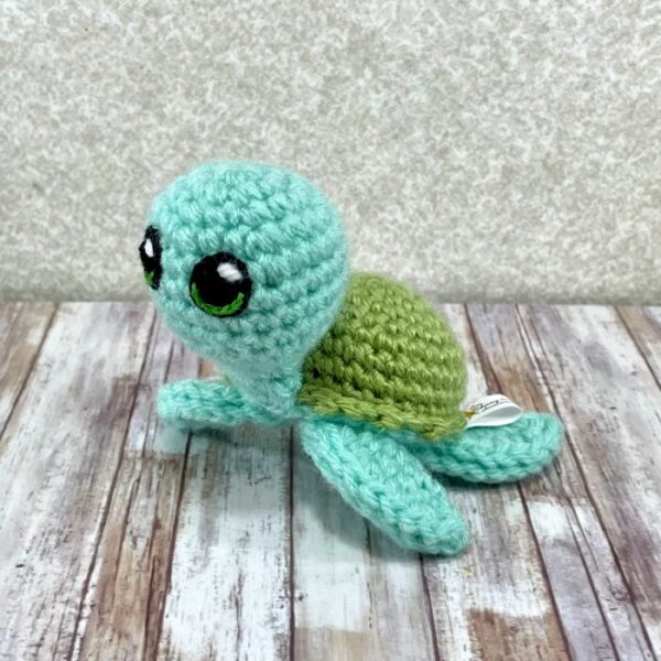 Sea Turtle with a pistachio color shell at an angle