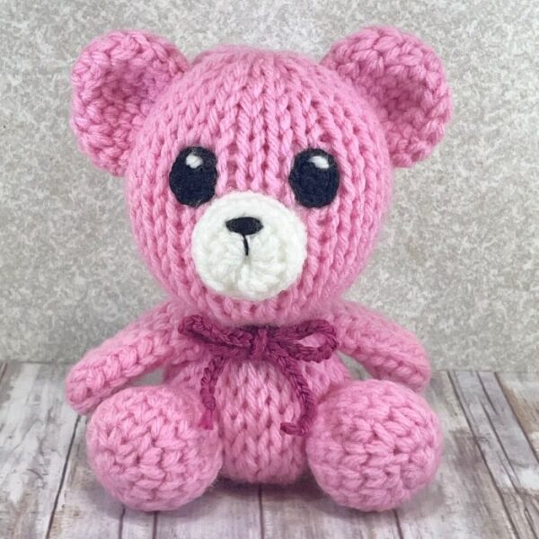 Pink Teddy Bear front view