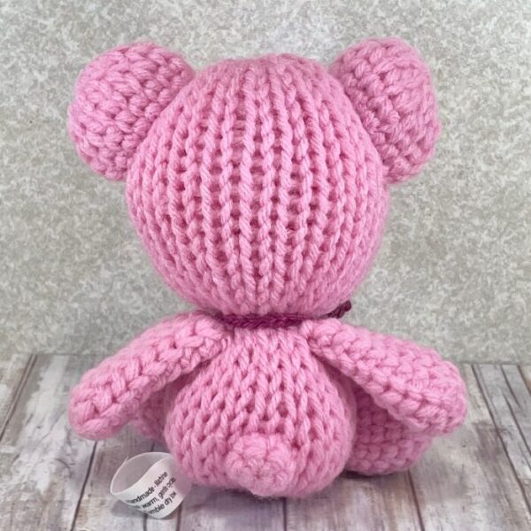 Pink Teddy Bear Back View